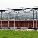 Multi Span Glass Greenhouse With 5+6+5/5+9+5mm Hollow Glass thumbnail-2