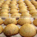 Beikn Machinery Filled Maamoul Maker Cookie Encrusting Forming Machines thumbnail-5