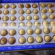 Popular Seafood Snack Frozen Takoyaki Sale for Export thumbnail-3
