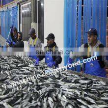 Turnkey Project Tuna Fish Canned of Higih Quality thumbnail-3