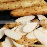 Factory Supply Wild Yam Extract Powder From China thumbnail-2