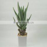 Real Touch Artificial Decorative Indoor Plants Aloe Wholesale thumbnail-1