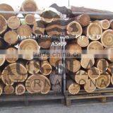 QUANDONG SANDAL WOOD LOGS thumbnail-1