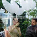 2016 Wedding Helium Inflatable Biodegradable White Dove Balloons For Wedding Decoration Doves Dhaped Bio Balloons                        
                                                Quality Choice