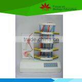 Low Priced Spinal Nerve Reflex and Damage Electric Model thumbnail-1