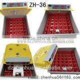 Top Selling Newly Design Full Automatic Mini Egg Incubator Hatching 36 Eggs for Sale (Mob/whatsapp:0086-15266968635) thumbnail-4