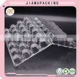 24 Hole Transparent Plastic Egg Tray Price thumbnail-3