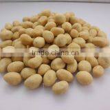 BRC Certified Peanuts Roasted Peanuts 1kg Price in Bulk Packing For Sale thumbnail-2