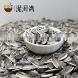 Sunflower Seeds for American Type 5009 With Best Quality thumbnail-3