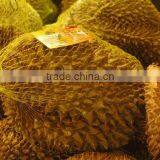 Frozen Mongthong Durian Whole thumbnail-4