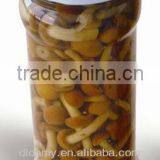 Canned Nameko Mushroom thumbnail-1