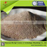 Bulk Humic Acid NPK Fertilizer 10-5-17 thumbnail-2