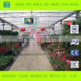 Durable and Stable Agricultural Greenhouse Widely Used in World thumbnail-2