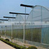 Baolida Cheap Vegetables Tunnel Greenhouse thumbnail-4