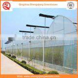 Agriculture Equipment Multi-span 12m Plastic PE Film Agriculture Greenhouse for Sale thumbnail-2