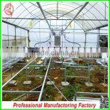 Polycarbonate Board Aluminium Garden Greenhouses From Factory Supplier thumbnail-4