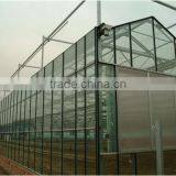 Commercial Greenhouse for Agriculture thumbnail-5