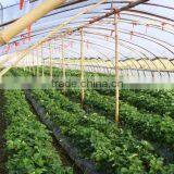 Ground Cover Fabric Grass Weed Control Mat thumbnail-3