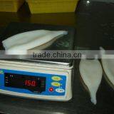 Frozen Squid for Sale thumbnail-1