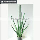 Manufacturing Maguey Garden Decoration Indoor Decoration Handmade Plant for Sale thumbnail-1