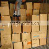 Echinocactus Grusonii in Box Packing thumbnail-5