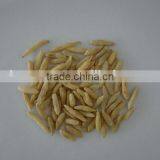 Ophiopogon Japonicus, Ophipogon Japonicus Root