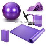 Hampool New Promotion Yoga Ball Mat Blocks Starter Kit Set