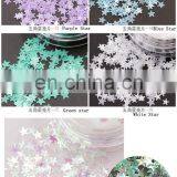 17 Colors Mermaid Scale Nail DIY Decoration Nail Art Sparkling Glitter Round Star Heart Shaped Paillette Spangles thumbnail-6