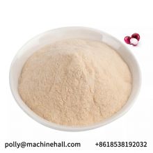 Manufacturer Direct Suuply Bulk Onion Powder Wholesale Price