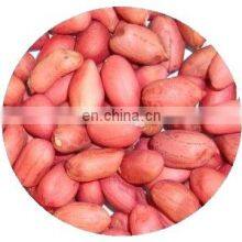 Blanched Peanuts 25/29 29/33 35/39 36/41 41/51 51/61 thumbnail-4