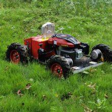 Factory Direct Sales Remote Slope Mower in China thumbnail-1
