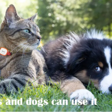 Shenzhen GPSONE Technology Co., Ltd. company overview - view 3 thumbnail