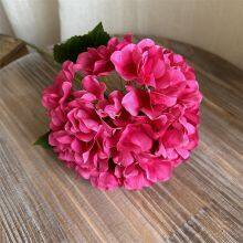 Factory Direct Private Label Hydrangea Flowers - Custom Branding Hydrangea Flowers, Distributor Hydrangea Flowers