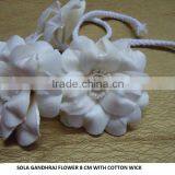 Sola Gandharaj Flower