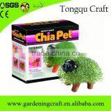 Return Gifts for Birthday Chia Pet Diwali Gifts Baby Shower Gifts thumbnail-6