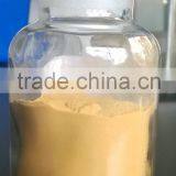 GMP Manufacture Supply Top Quality Green Tea Extract 70% Tea Polyphenol for Capsule thumbnail-4