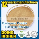 100% high quality lentinus edodes powder factory supply lentinus edodes powder