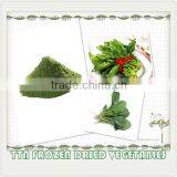 FROZEN DRIED (FD) SPINACH POWDER 100% NATURAL GREEN