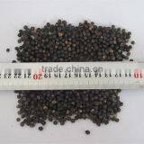 Malabar Spinach Seeds Vegetable Seeds for Planting thumbnail-3