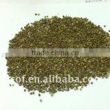 HEMPSEED(656) thumbnail-1