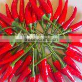 FRESH HOT PEPPER, CHILLI +84963818434 Whatsapp thumbnail-3