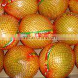 Fresh Sweet Pomelos thumbnail-3