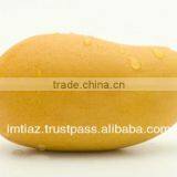 Pulpy Sindhri Mango of Pakistan