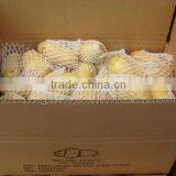 Latest Crop Potato thumbnail-1