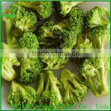 FD Vegetables of Celery thumbnail-6