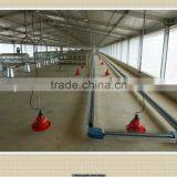 Automatic Steel Structure Poultry Sheld