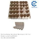 Waterproof Paper 30 Cell Egg Carton thumbnail-2