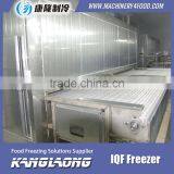 Large Output Frozen Potato Shrimp Freezer With Good Quality thumbnail-1