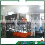 Food Blanching Machine thumbnail-2