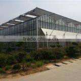 Light Steel Structure Multi Span Glass Greenhouse for Modern Agriculture thumbnail-3